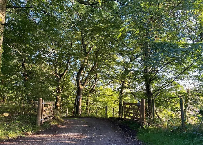 Spacious Cottage - Walk To Crieff
