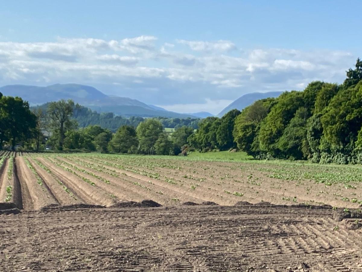 Spacious - Walk To Holiday home Crieff